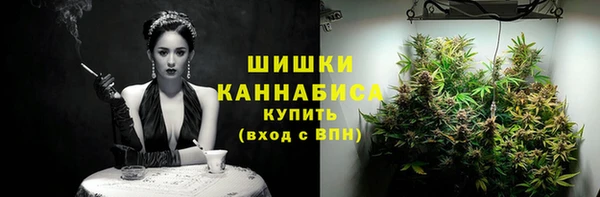шишки Володарск