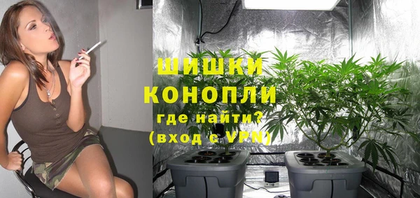 шишки Володарск
