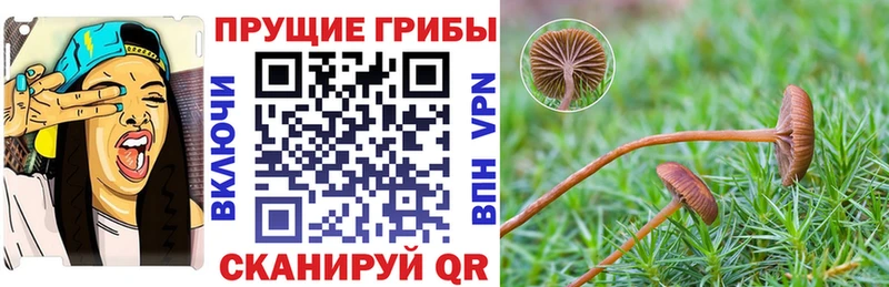Псилоцибиновые грибы мицелий  как найти закладки  Ворсма 